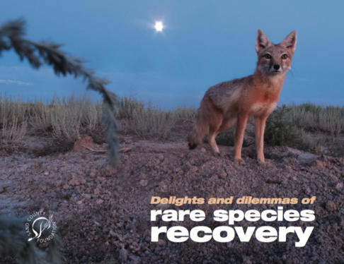 The Delights and Dilemmas of Rare Species Conservation